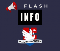 logo  flash info (1)