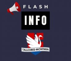 logo flash info